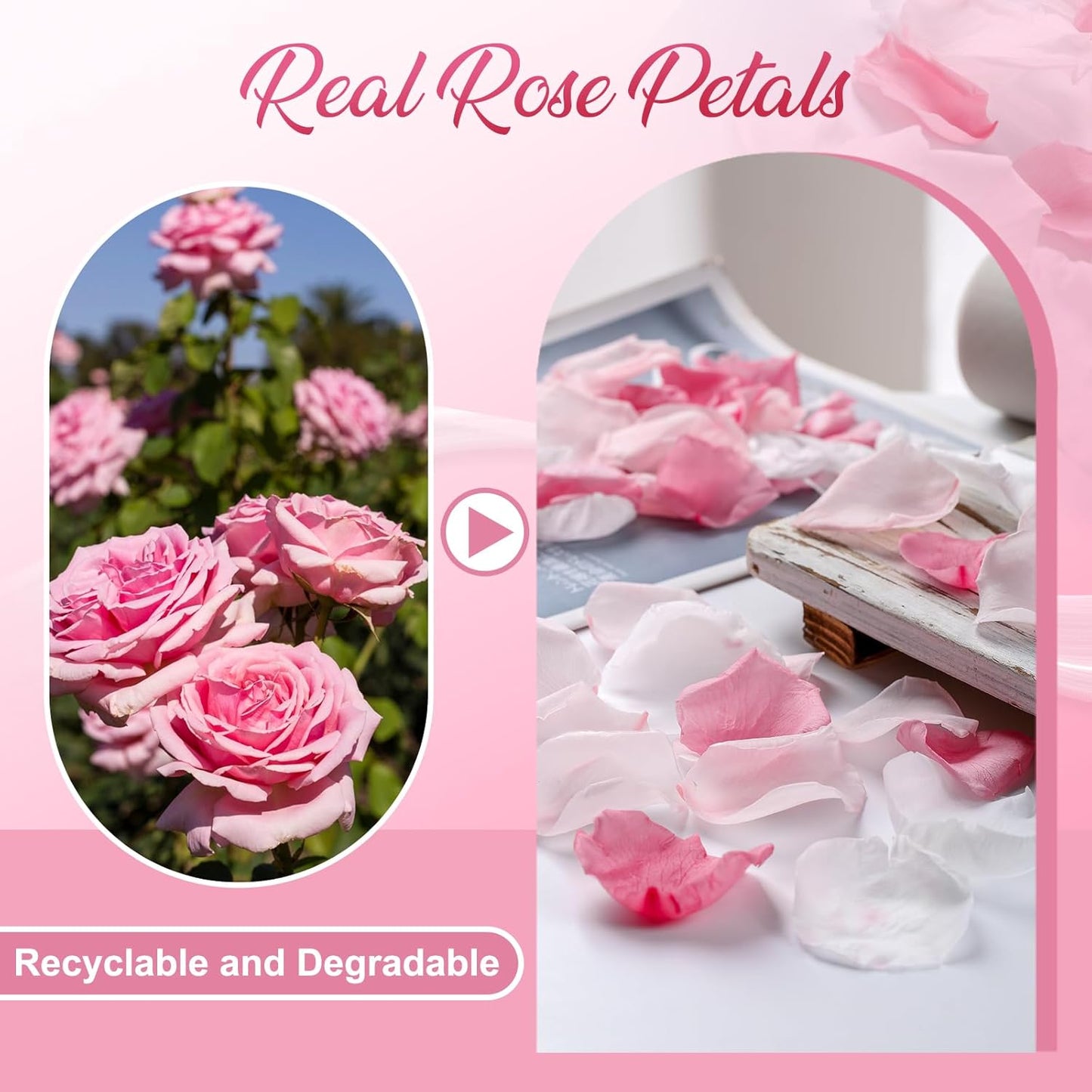 300 PCS Real Pink White Rose Flower Petals Confetti for Wedding Flower Girl to Throw, 2.82oz Freeze Dried Rose Petal for Proposal Centerpieces Romantic Night Decor