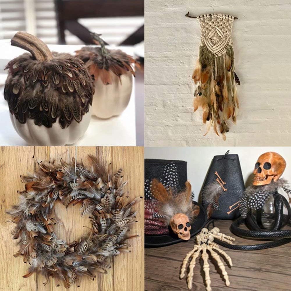 360pcs 12 Styled Natural Feathers Assorted Mixed Feathers for Jewelry and Dream Catcher Crafts