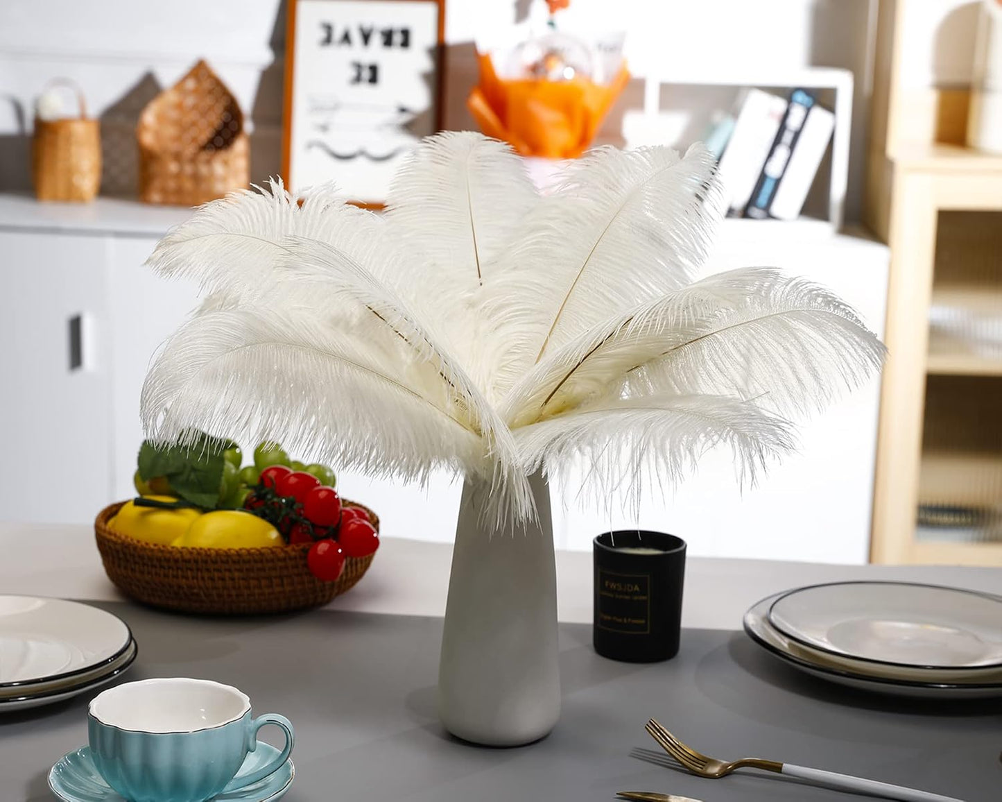 Ballinger Beige Ostrich Feathers Bulk - 24pcs 10-12inch Boho Feathers for vase,Wedding Party Centerpieces and Home Decor