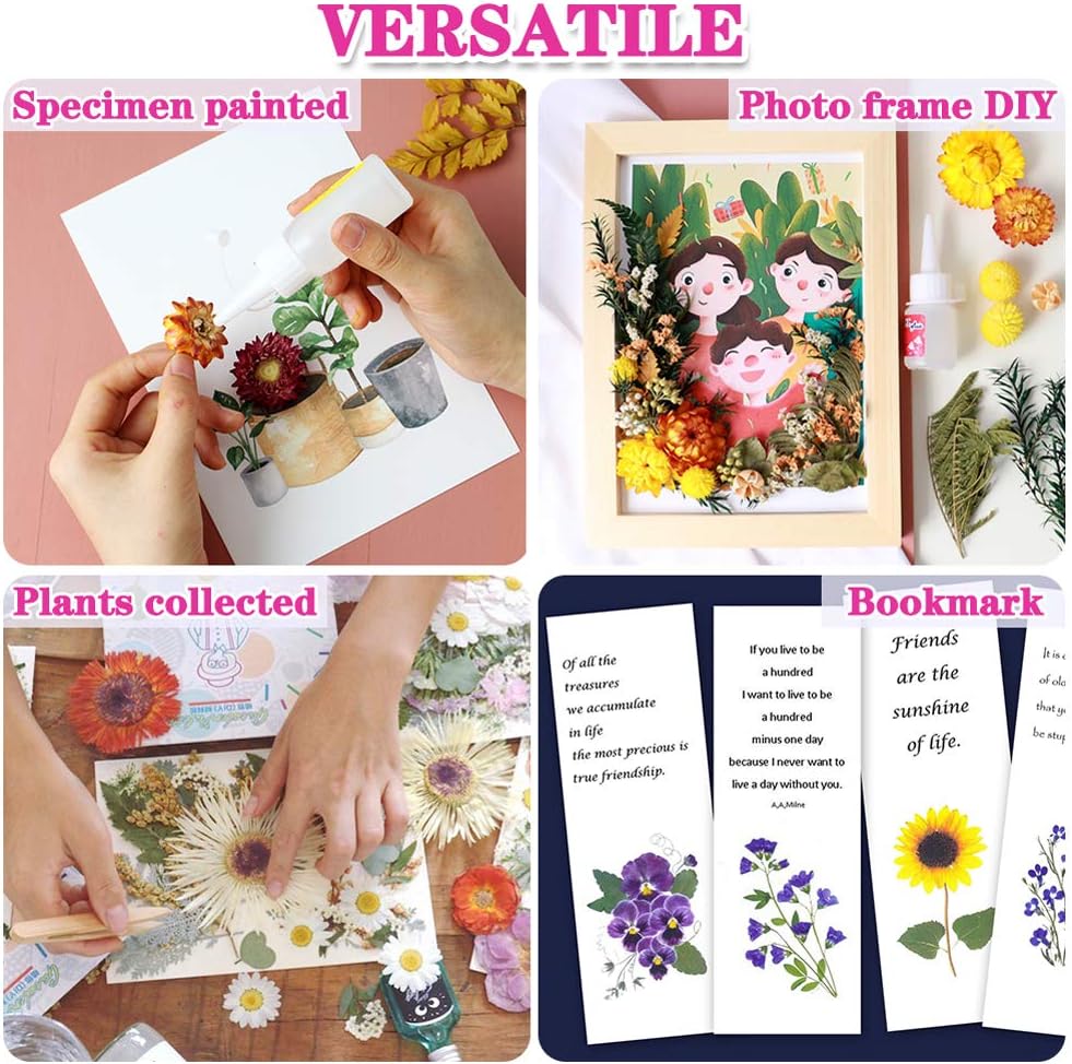 Vignee Real Dried Pressed Leaf Flowers-Multiple Colorful Pressed Flowers Daisies for Craft Resin Jewelry Making Art Craft DIY(Blue & Purple)