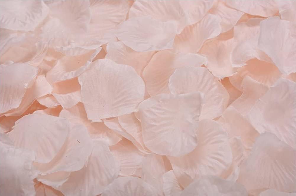 ocharzy 1000pcs Rose Petals Artificial Silk Flower Rose Petals for Wedding Decorations, Romantic Night, Valentine's Day, Parties, Events (Champagne Like Pink)