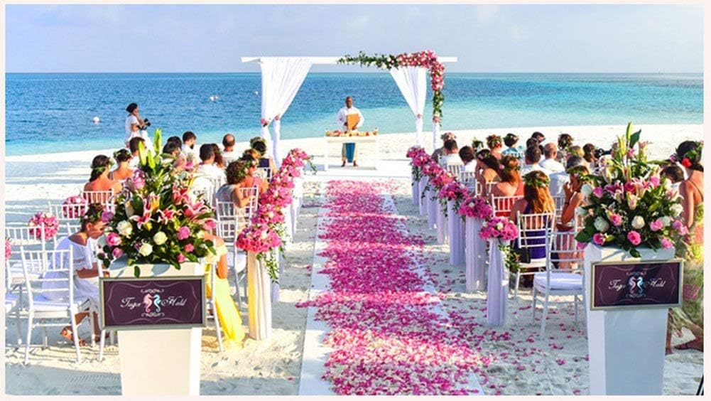 ocharzy 1000pcs Rose Petals Artificial Silk Flower Rose Petals for Wedding Decorations,Romantic Night,Valentine's Day,Parties,Events(Separated, Light Pink)
