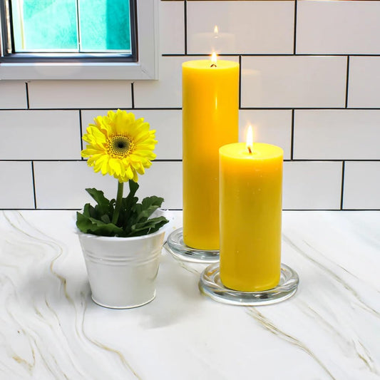 WGV Tea Light Votive Candle Holder Plate 4" W, Clear Flat Plate Glass, Small Home Accent Decor, 24 Pc