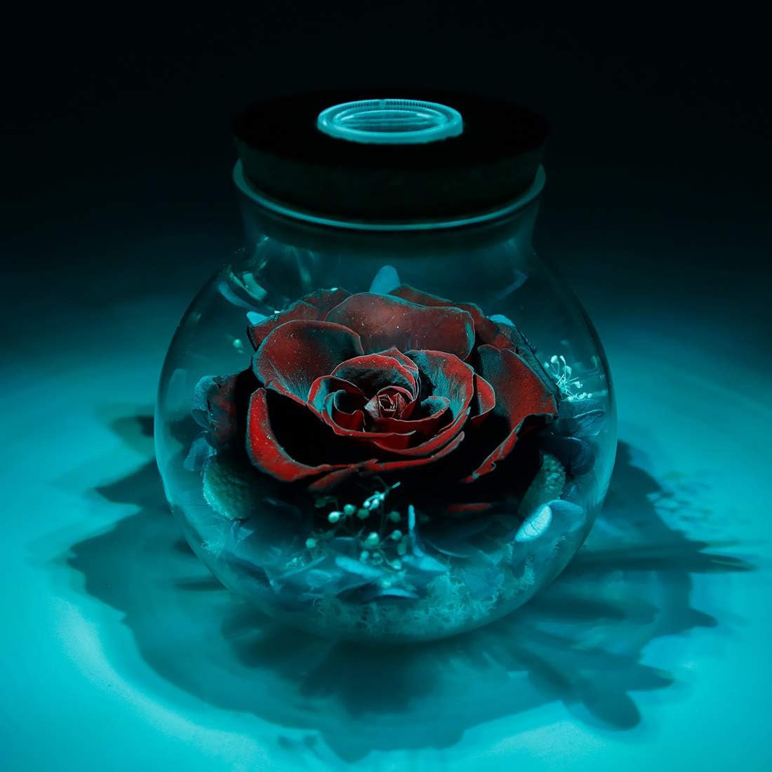 Preserved Real Roses with Colorful Mood Light Wishing Bottle,Eternal Rose，Never Withered Flowers,for Bedroom Party Table Decor, Anniversary,Valentine's,Mother's Day,a Gifts for Women (Burgundy)
