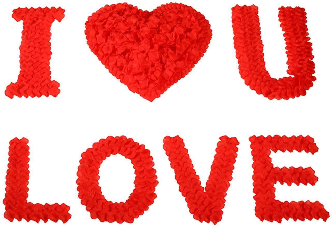 CODE FLORIST 1500 PCS Red Silk Rose Petals for Valentine's Day,Romantic Night,Wedding,Proposal Anniversary Flower Decorations(Separated,Scented)