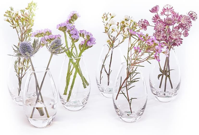 CHIVE ‘George’ Glass Bottle Flower Vases — Set of 6 — Small, Elegant Clear Glass Bud Vases — Bulk Pack for Home Decor & Table Centerpieces — Shape 5 (Oval, 5” Tall, 2.5” Wide)