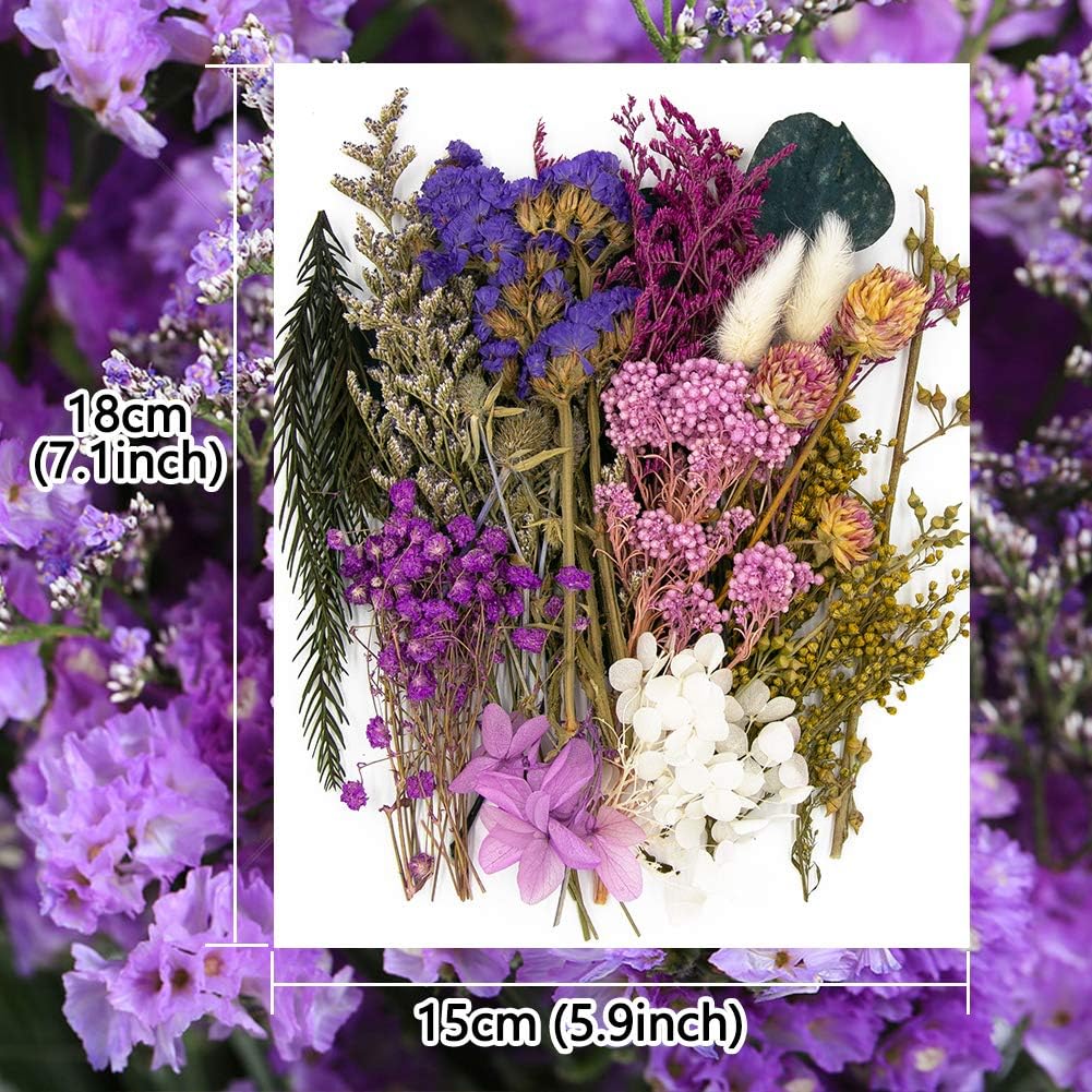 Vignee Real Dried Pressed Leaf Flowers-Multiple Colorful Pressed Flowers Daisies for Craft Resin Jewelry Making Art Craft DIY（Blue & Purple）