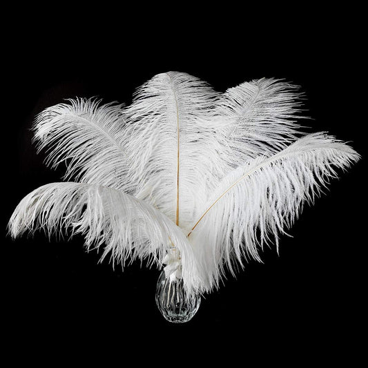 Ballinger Large White Ostrich Feathers - 24Pcs 8-10inch Feathers for Crafts,Party Centerpieces,Wedding and Home Decor