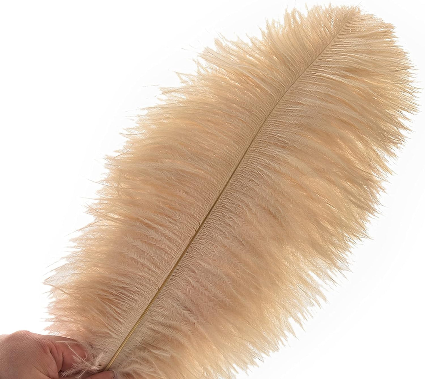 Ballinger Large Champagne Ostrich Feathers - 24pcs 12-14inch Boho Feathers for Vase and Home Decor Wedding Party Centerpieces