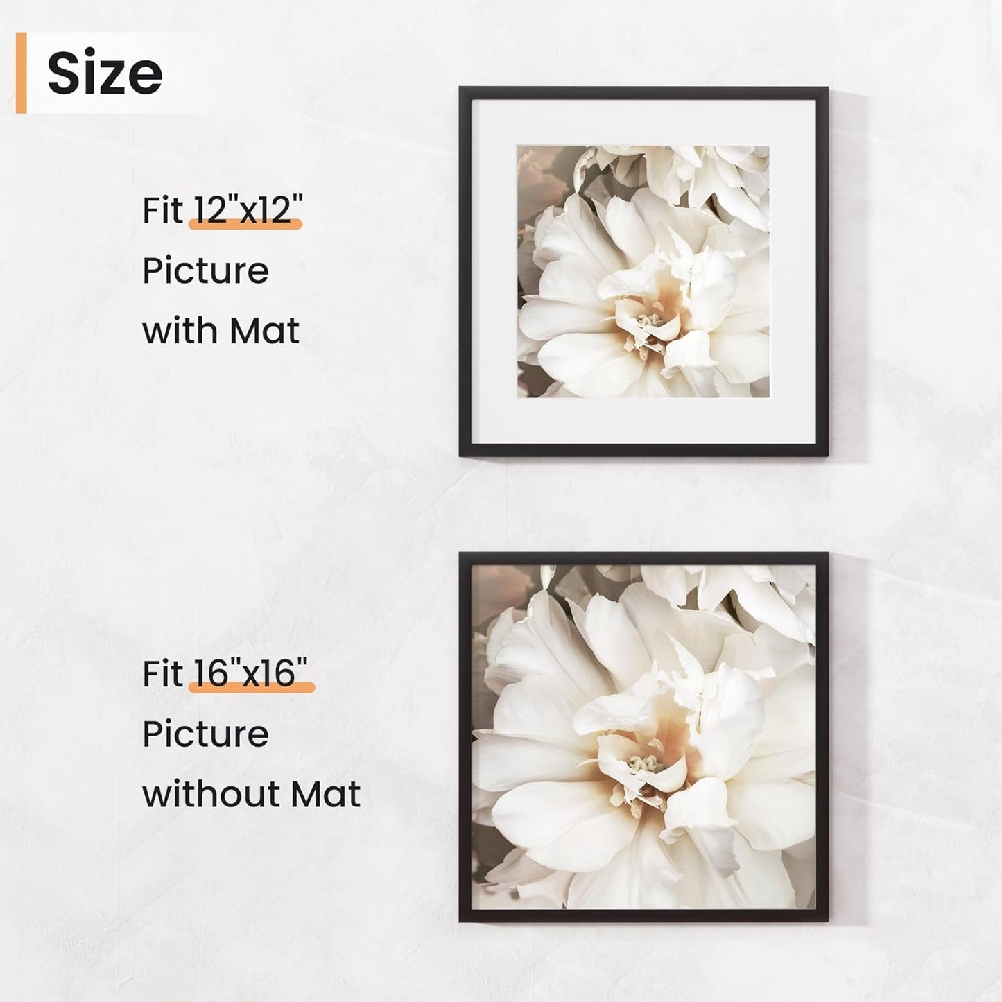 16x16 inch Picture Frame, 16x16 Photo Frames with 12x12 Removable Mat - High Definition Plexiglass - Vertical and Horizontal Display - Wall Hanging Frame - Black, 5 Pack