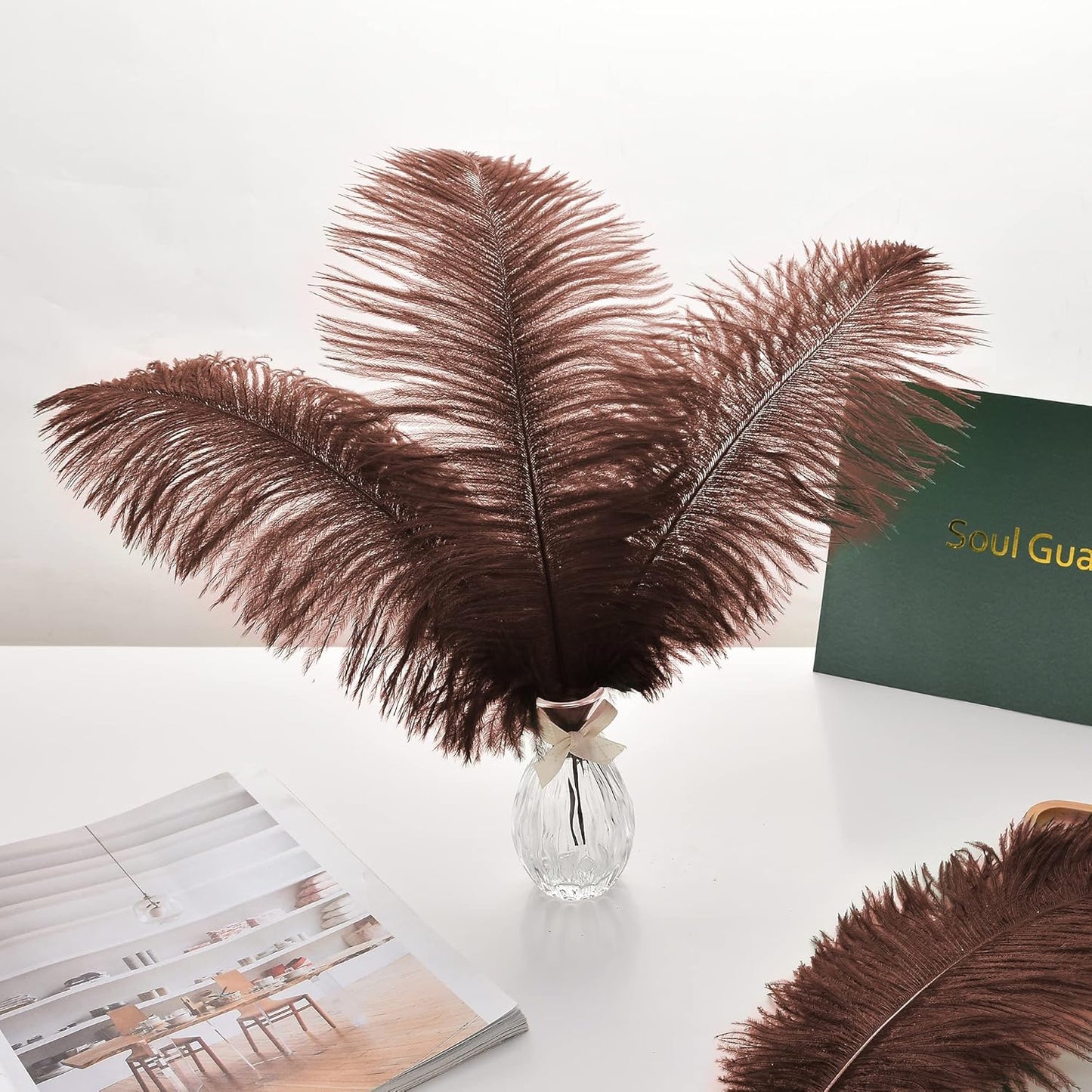 Ballinger Brown Big Ostrich Feathers - 24pcs 8-10inch Craft Feathers for Party Centerpieces, Flower Arrangement and Home Decor