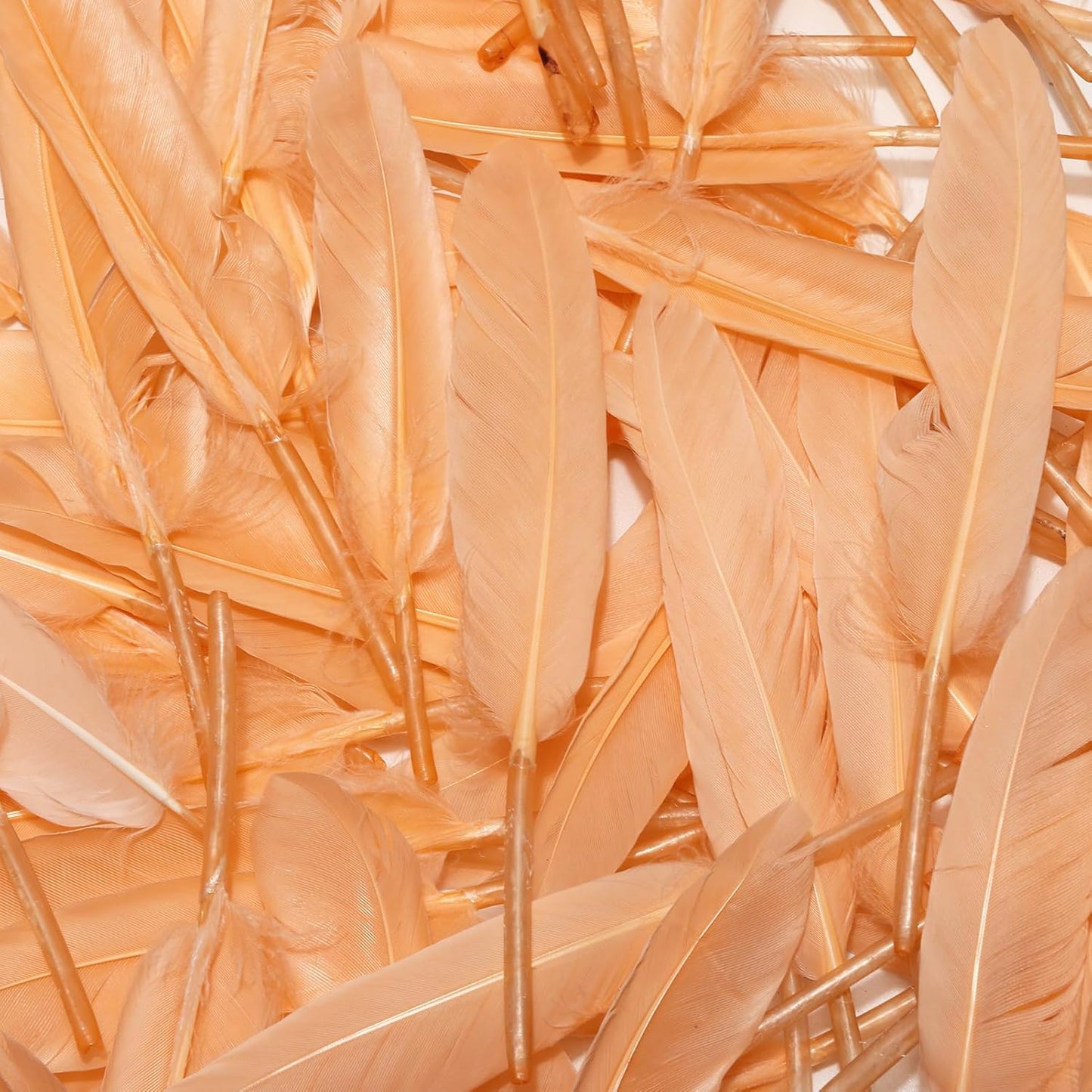 FeelfunFeather 120pcs Champagne Goose Cochettes Feather Natural Bulk 4-6 inch 10-15cm for Wedding Party Christmas Decorations DIY Crafts Goose Cochettes Feather