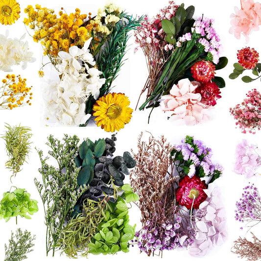 Nuanchu 4 Bags Natural Dried Flowers Leaves Set, Mixed Dried Hydrangeas, Daisies, Natural Flowers Colorful Real Dry Flowers for DIY Candle Resin Jewelry Crafts Pendant Floral Decoration Supplies